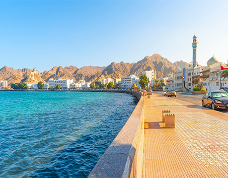 Vista Tourism & Travel A.S.